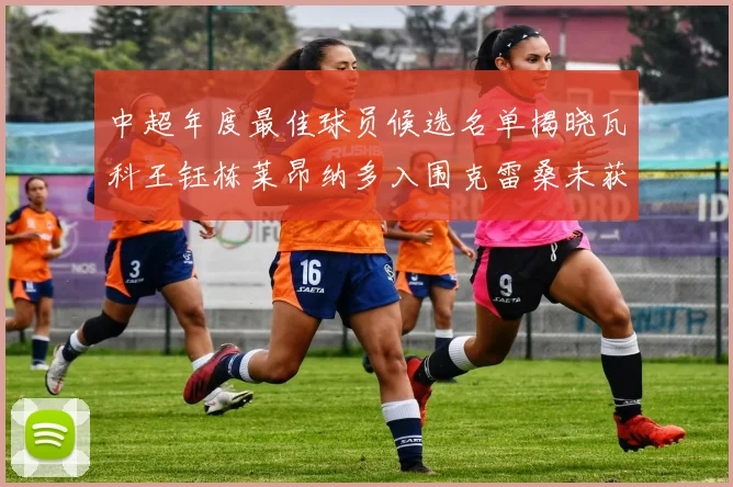 中超年度最佳球员候选名单揭晓瓦科王钰栋莱昂纳多入围克雷桑未获提名