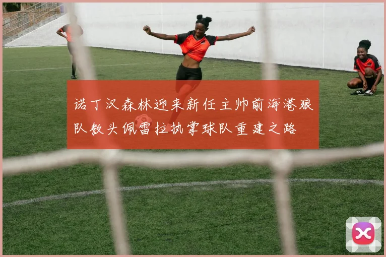 诺丁汉森林迎来新任主帅前海港狼队教头佩雷拉执掌球队重建之路