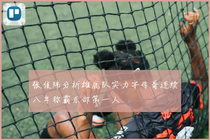 张佳玮分析雄鹿队实力字母哥连续八年称霸东部第一人