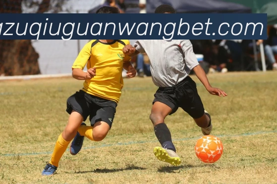 沙巴体育APP 封面图